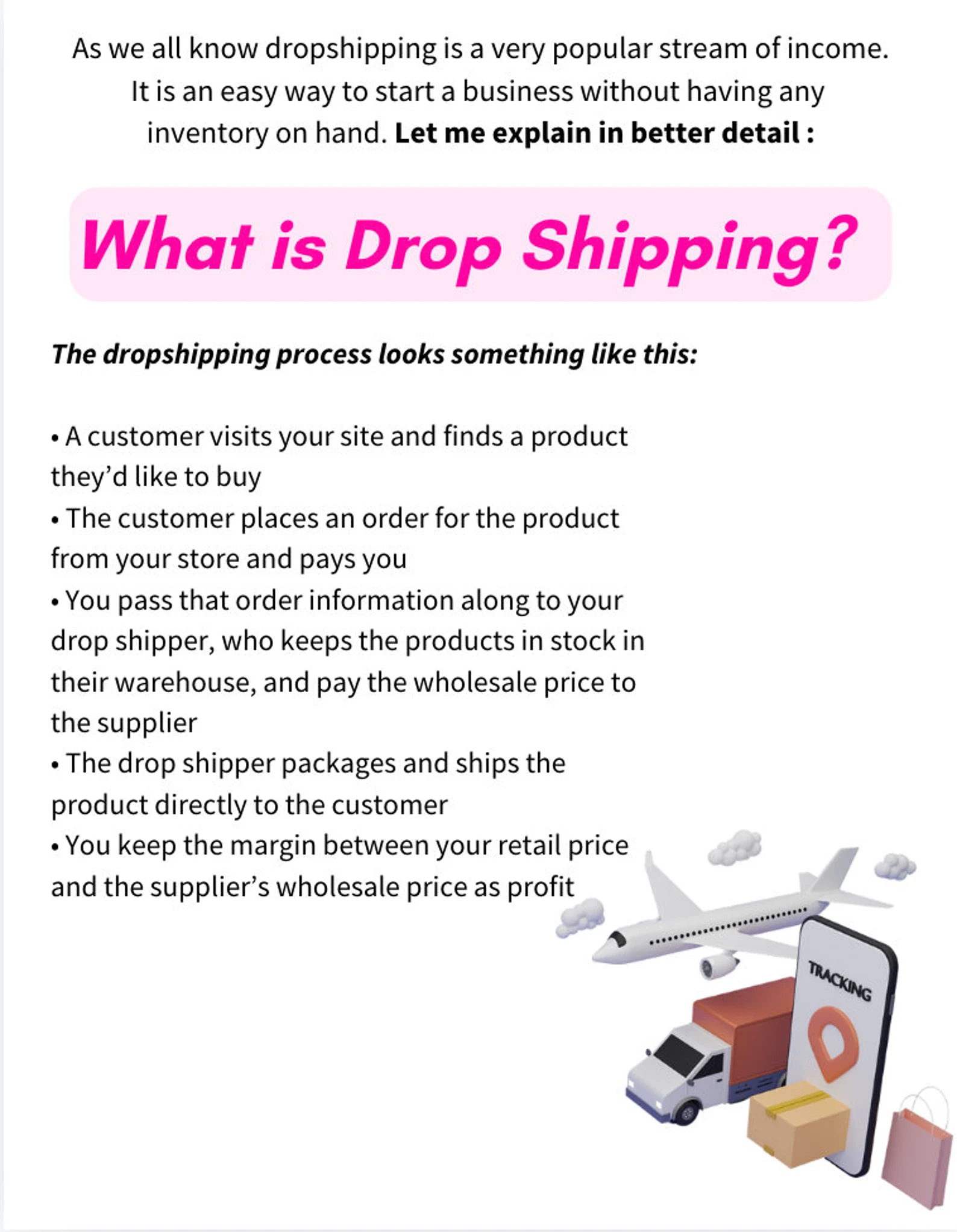 Dropshipping Business PLR eBook – 20 Pages, Ready to Resell - Image 3